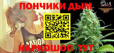 spice Гатчина
