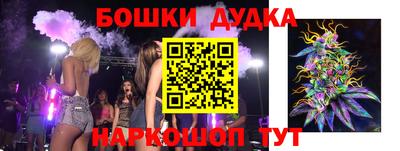 spice Гатчина
