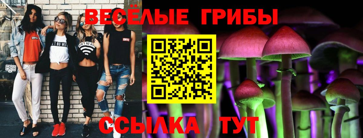 Псилоцибиновые грибы ЛСД Кемерово